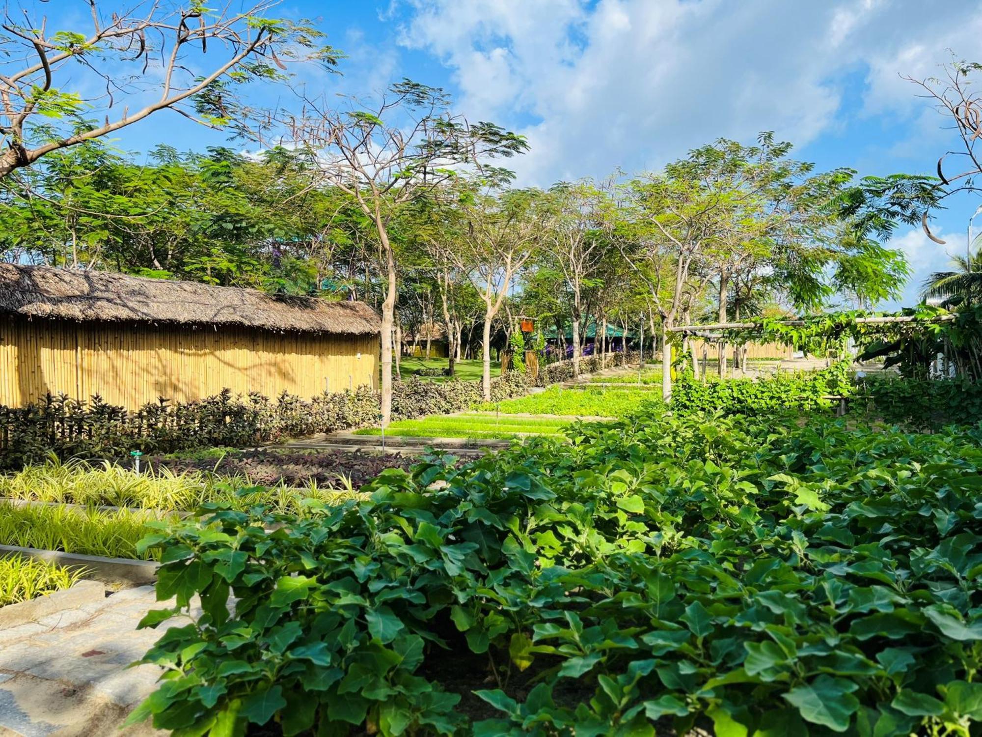 Ttc Van Phong Bay Resort - Himalaya Sauna & Steam Retreat Included Ấp Ninh Hòa  Екстериор снимка